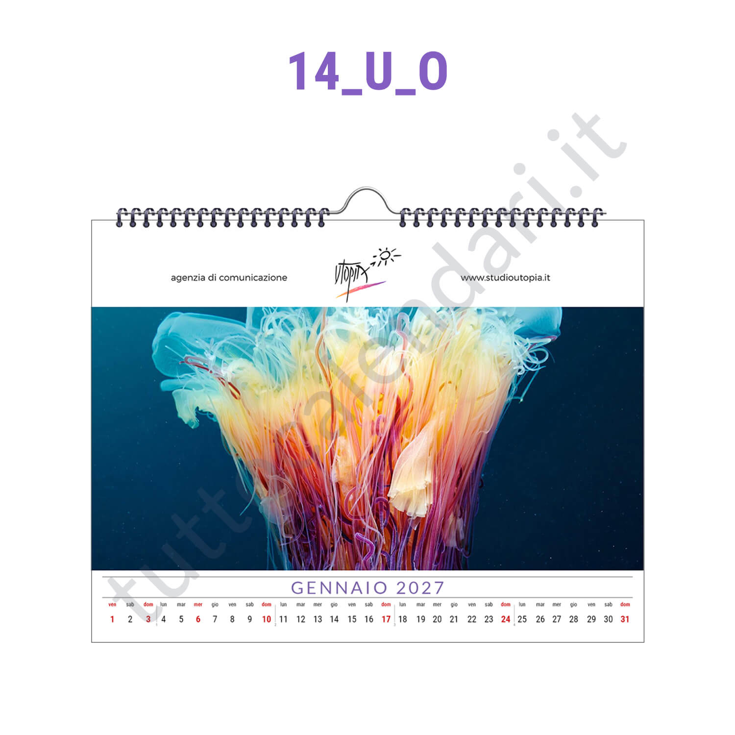 Calendario su misura da muro orizzontale Calendario su misura spiralato